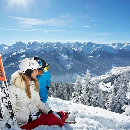 In - Salzburger Land 45727 Apartment Mittersill